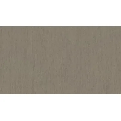 Линолеум Tarkett iQ OPTIMA - Optima SOFT BROWN 0977-0