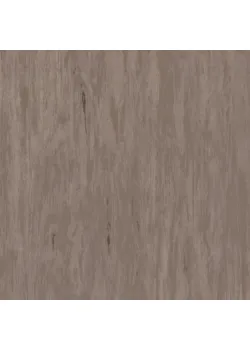 Линолеум Tarkett STANDARD PLUS - Standard DARK BEIGE 0482