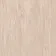 Линолеум Tarkett STANDARD PLUS - Standard LIGHT BEIGE 0479-3-thumb
