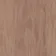 Линолеум Tarkett STANDARD PLUS - Standard SAND DARK 0915-3-thumb