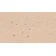 Линолеум Tarkett Eclipse Premium - Eclipse PASTEL ORANGE 0073-3-thumb