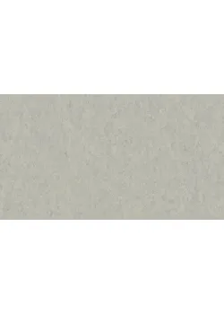 Линолеум Tarkett VENETO xf²™ (2.0 mm) - Veneto GREY 793