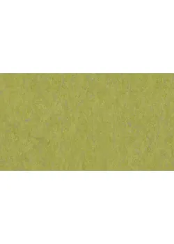 Линолеум Tarkett VENETO xf²™ (2.5 mm) - Veneto ABSINTHE 695