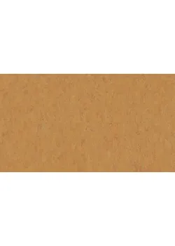 Линолеум Tarkett VENETO xf²™ (2.5 mm) - Veneto AMBER 636