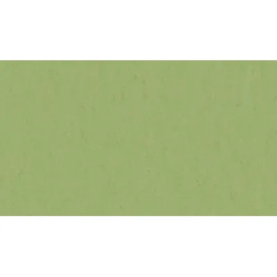 Линолеум Tarkett VENETO xf²™ (2.5 mm) - Veneto APPLE GREEN 754-0