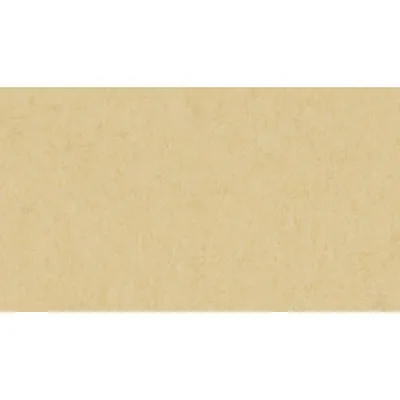 Линолеум Tarkett VENETO xf²™ (2.5 mm) - Veneto EGGSHELL 619-0