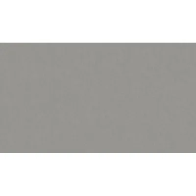 Линолеум Tarkett STYLE EMME xf²™ (2.5 mm) - Style Emme CEMENTO 202-0