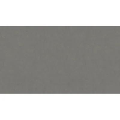 Лінолеум Tarkett STYLE EMME xf²™ (2.5 mm) - Style Emme FERRO 205-0