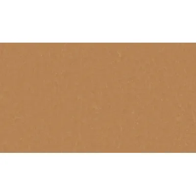 Лінолеум Tarkett STYLE EMME xf²™ (2.5 mm) - Style Emme FOX 734-0