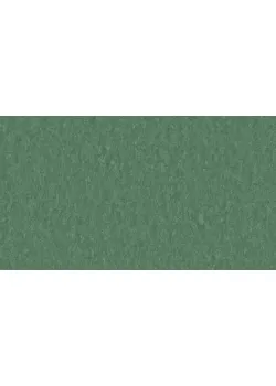 Линолеум Tarkett STYLE EMME xf²™ (2.5 mm) - Style Emme JADE 797