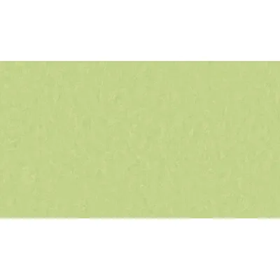Линолеум Tarkett STYLE EMME xf²™ (2.5 mm) - Style Emme MOJITO 755-0