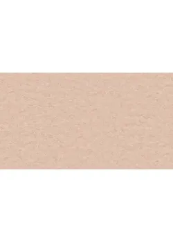 Линолеум Tarkett STYLE EMME xf²™ (2.5 mm) - Style Emme NUDE 723