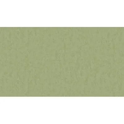 Линолеум Tarkett STYLE EMME xf²™ (2.5 mm) - Style Emme PEARS 753-0