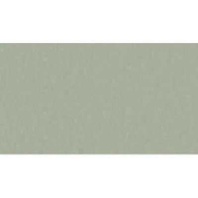 Линолеум Tarkett STYLE EMME xf²™ (2.5 mm) - Style Emme PISTACHIO 758-0