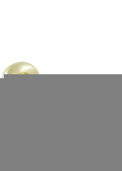 Ручки на розетах Apecs H-0572-Z