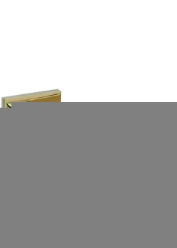 Ручки на розетах Gavroche THORIUM Th - Z25 GoldPVD