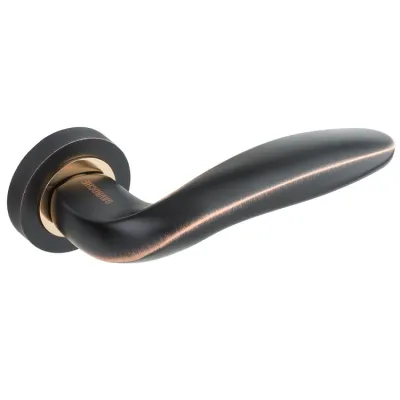 Ручки на розетах Gavroche ARGENTUM Ag - Z2 ORB/PB-0