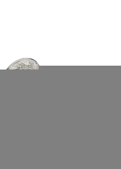 Ручки на розетах Gavroche NEODIUM Nd - Z20 BS/W