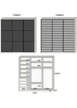 Вариант Шкафа-купе №49 20.01.2026