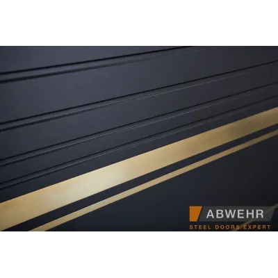 Входные Двери MEGAPOLIS (MG3) 545/545 Goldy Abwehr-5