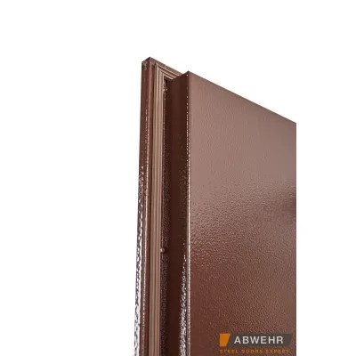 Входные Двери Storage (ST) с наличником Abwehr-6