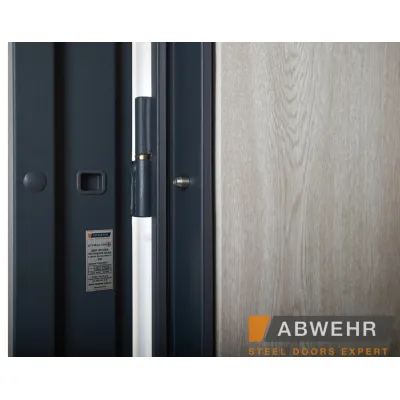 Вхідні Двері Defender (KTM) 408 Defender Glass RAL 7021Т Abwehr-12
