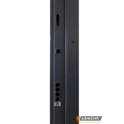 Вхідні Двері Bionica 2 LAMPRE (LP-3) ПГ Abwehr-9