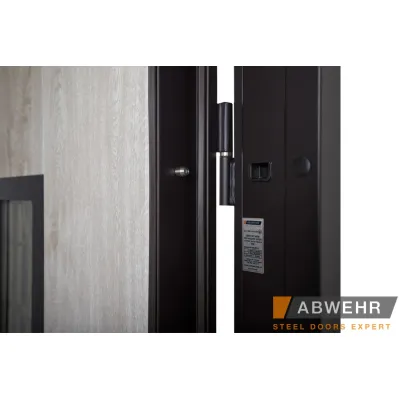 Входные Двери Defender (KTM) 408 Defender Glass RAL 8022Т Abwehr-5