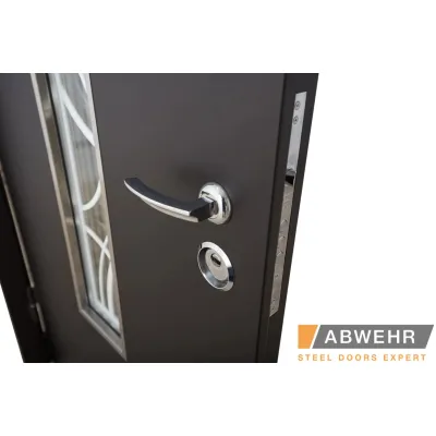 Входные Двери Defender (KTM) 408 Defender Glass RAL 8022Т Abwehr-12