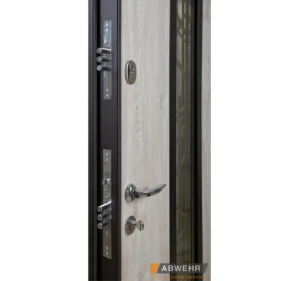 Входные Двери Defender (KTM) 408 Defender Glass RAL 8022Т Abwehr-3