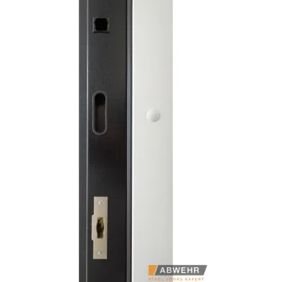 Вхідні Двері BIONICA 2 (BN2) LAMPRE (LP-5) антрацит Abwehr-12