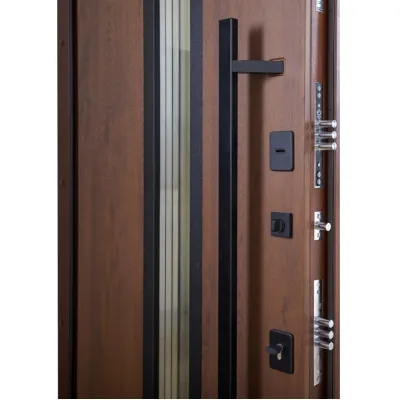Входные Двери BIONICA 2 (BN2) LAMPRE (LP-5) дуб темный Abwehr-9