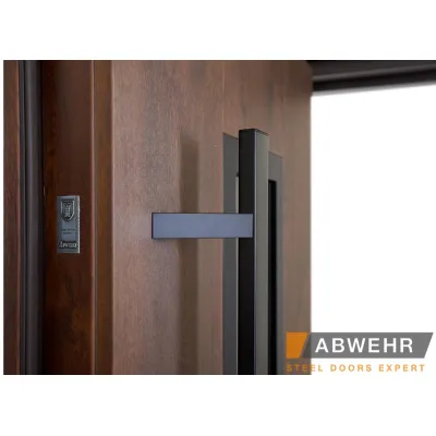 Входные Двери BIONICA 2 (BN2) LAMPRE (LP-6) дуб темный Abwehr-12
