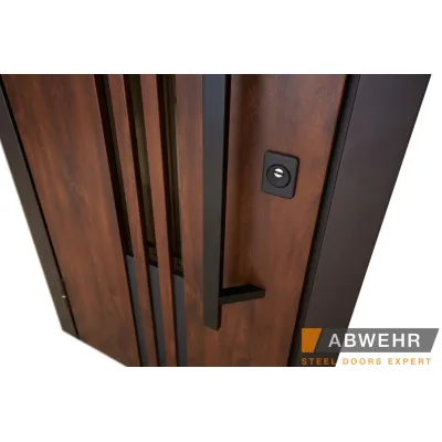 Входные Двери BIONICA 2 (BN2) LAMPRE (LP-6) дуб темный Abwehr-5