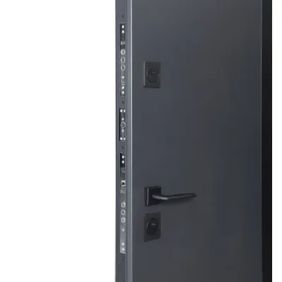 Вхідні Двері Котедж 710/265 Metalic anthracite/Вулична Антрацит сірий-5