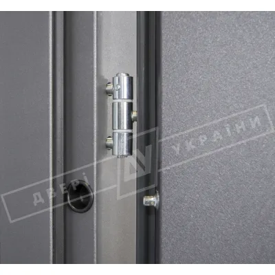 Входные Двери GRAND HOUSE 56 mm Прованс 6 "Двери Украины"-3