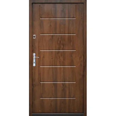 Входные Двери Modern Base RAL 8019 "Galicia"-1