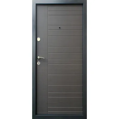 Входные Двери Альт-М венге серый горизонт - дуб флорида "Qdoors"-1