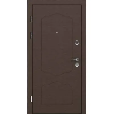 Входные Двери Lnz 003 Rodos Steel-0