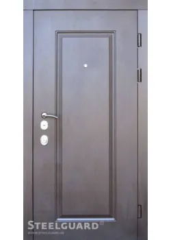 Двери DP-1 двухцветная Steelguard