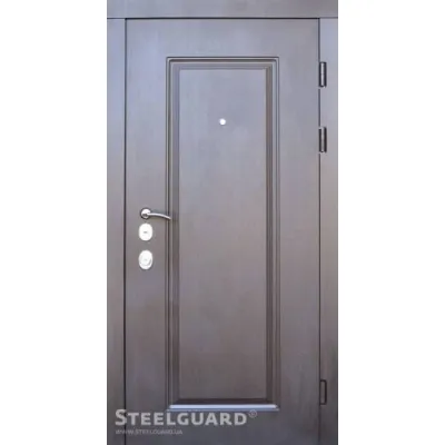 Вхідні Двері DP-1 двокольорові Steelguard-0