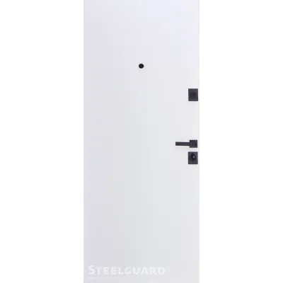 Входные Двери Remo 2 цвета "Steelguard"-1