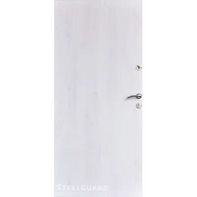 Входные Двери Torre 2 цвета Steelguard-3