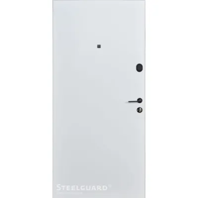 Входные Двери Masto 2 цвета Steelguard-1