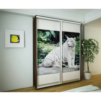 Шкафы-купе Деликатес DeNira 13-6-1