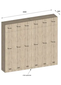 Варіант Шафи розпашної №79 06.02.2025