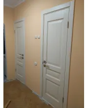 Межкомнатные Двери Terminus Classic NEW 102 ПГ ясень крема Шпон