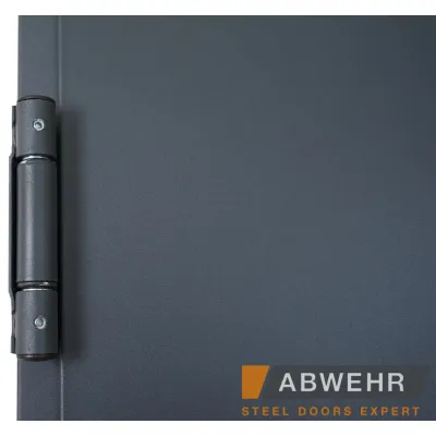 Вхідні Двері TD-2 7021 Т EI-30 з ручкою анти паніка Abwehr-10