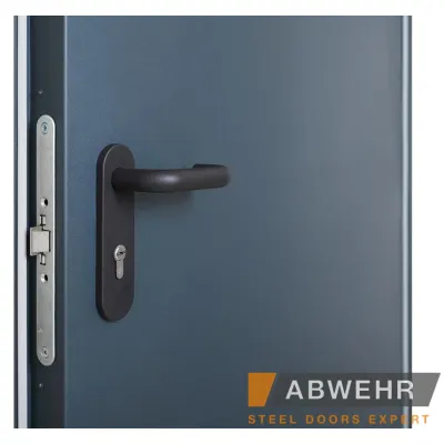Вхідні Двері TD-2 7021 Т EI-30 з ручкою анти паніка Abwehr-9