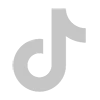 tiktok icon